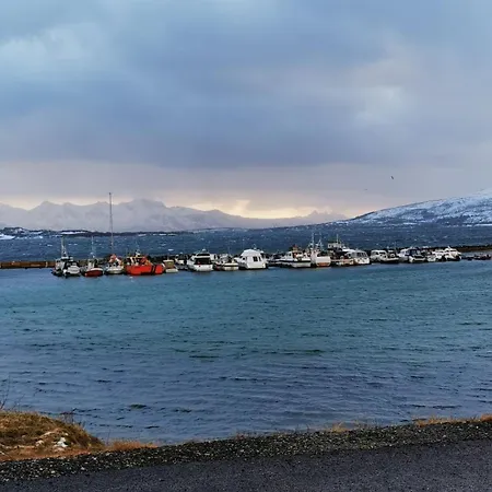 Koselig Hus Med Havutsikt * Sortland