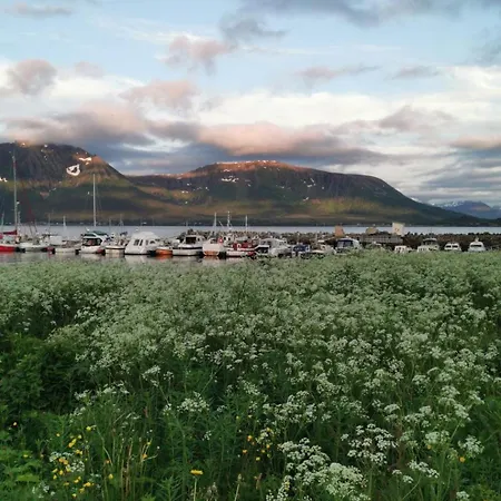 Koselig Hus Med Havutsikt Casa vacanze Sortland
